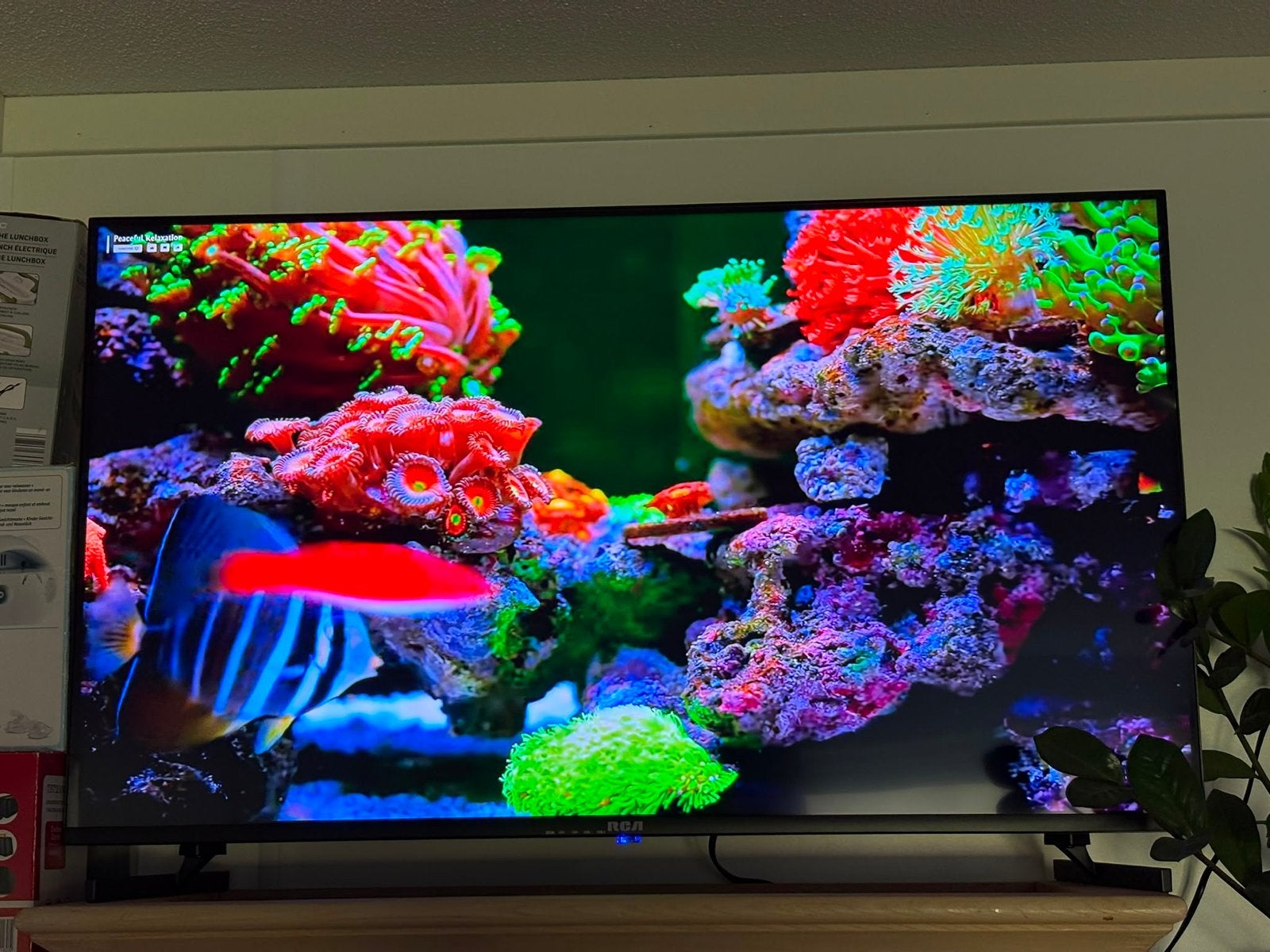 RCA Smart TV 43 inch, Overige merken, LED, 50 Hz, Ophalen of Verzenden