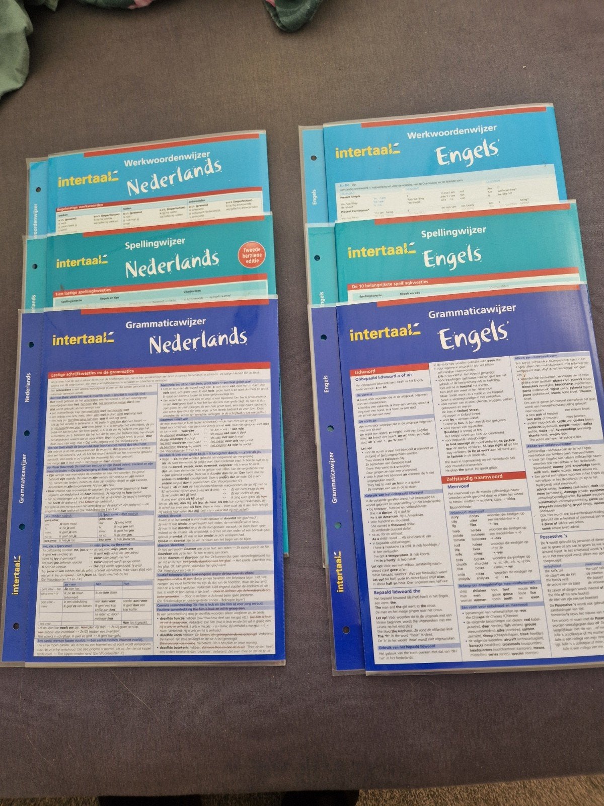 Intertaal Werkwoorden-, Spelling- en Grammaticawijzer, Ophalen of Verzenden, Zo goed als nieuw