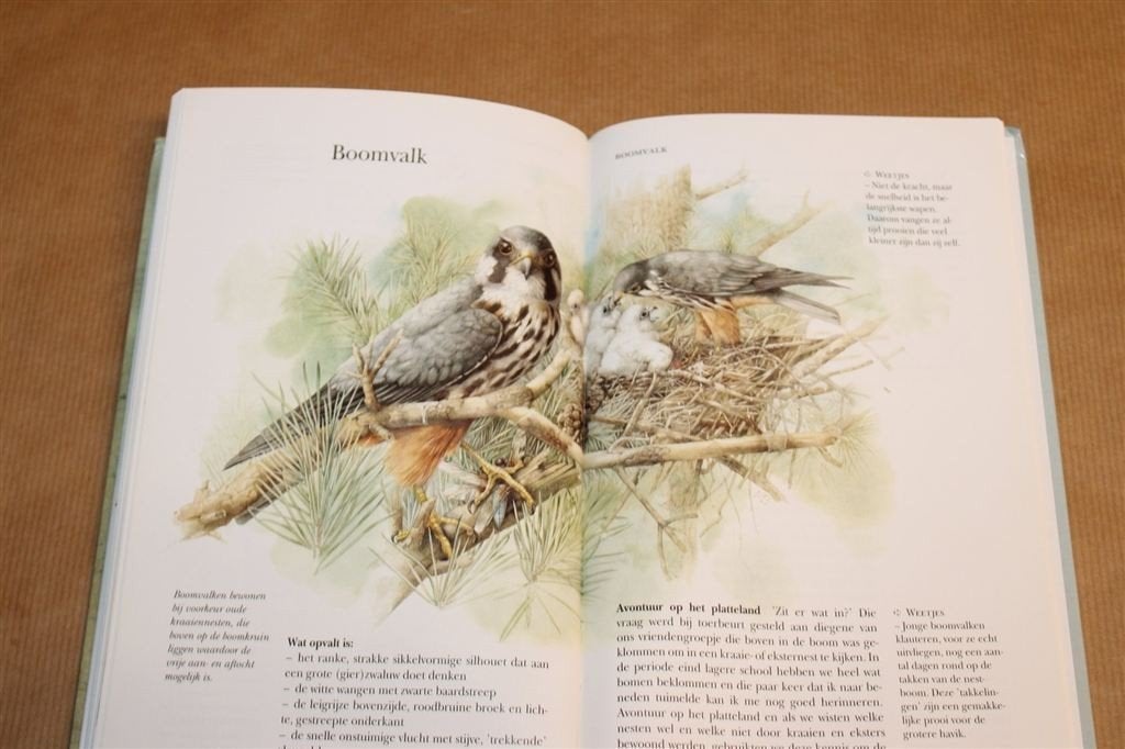 Kijk Op Vogels — In Bos En Hei [Bastin & De Haan], Ophalen of Verzenden, Gelezen, Vogels
