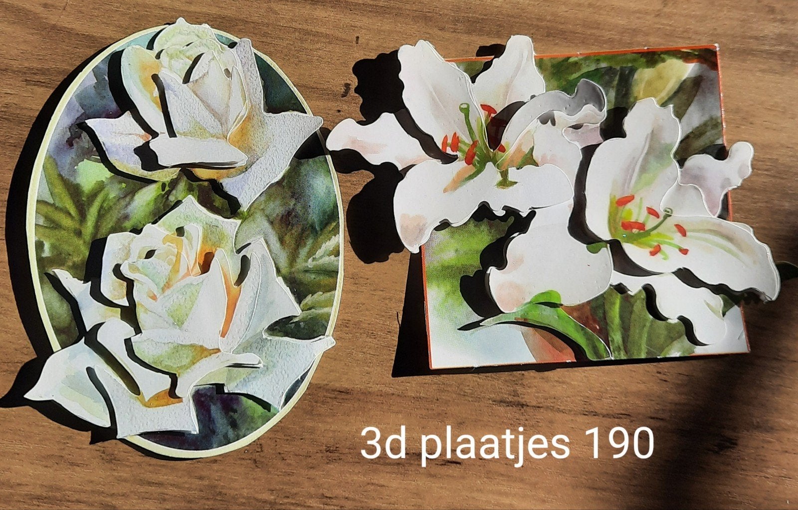 3d Plaatjes 190, Hobby en Vrije tijd, Ophalen of Verzenden, Nieuw, Overige thema's, Knipvel