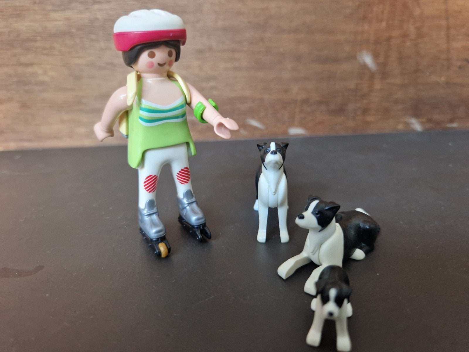 Playmobil 5213 - Border Collie honden familie, Ophalen, Gebruikt, Complete set