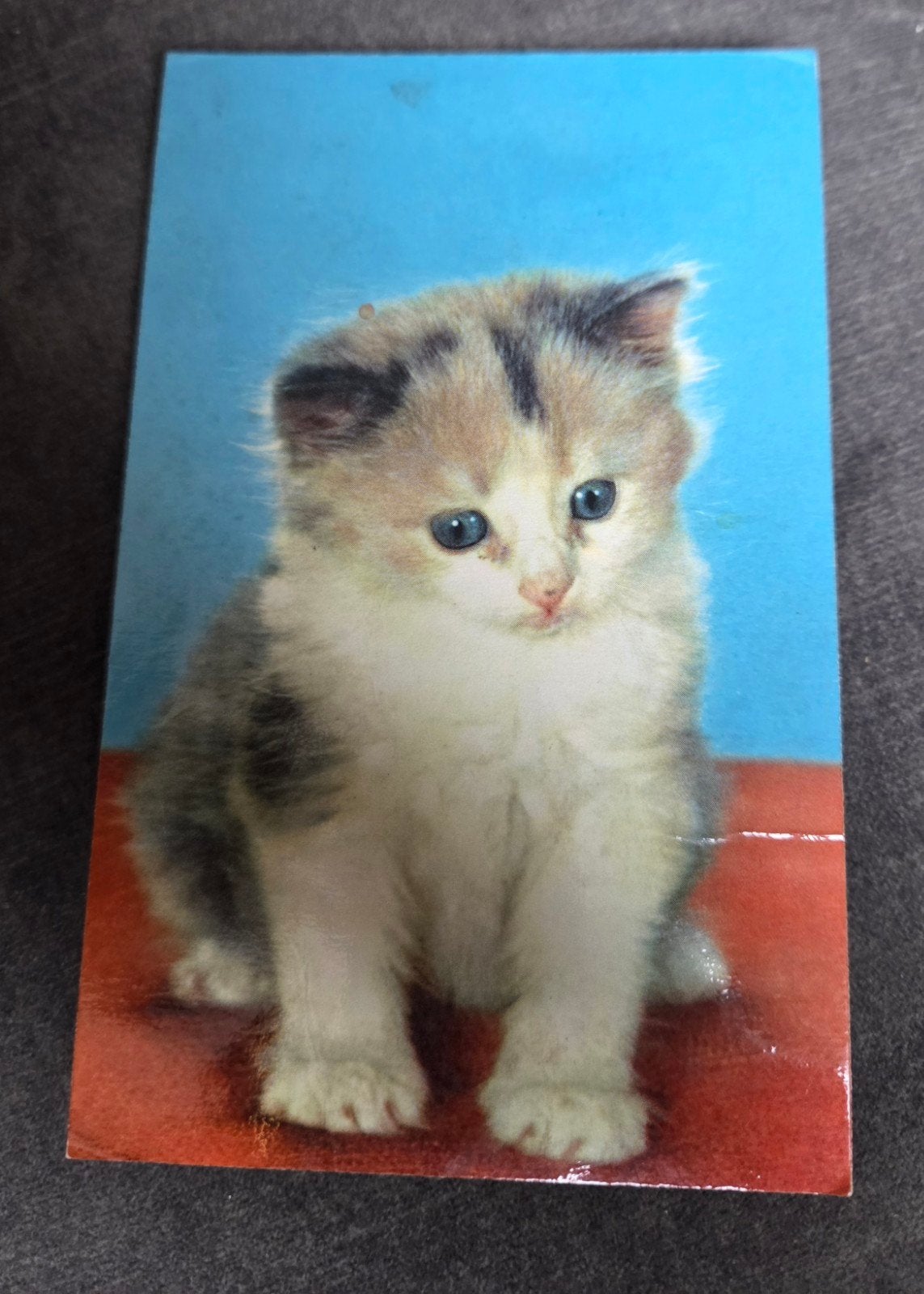 Piepkaart - Schattig Katje (1960), Verzamelen, Verzenden, 1960 tot 1980, Gelopen, Hond of Kat