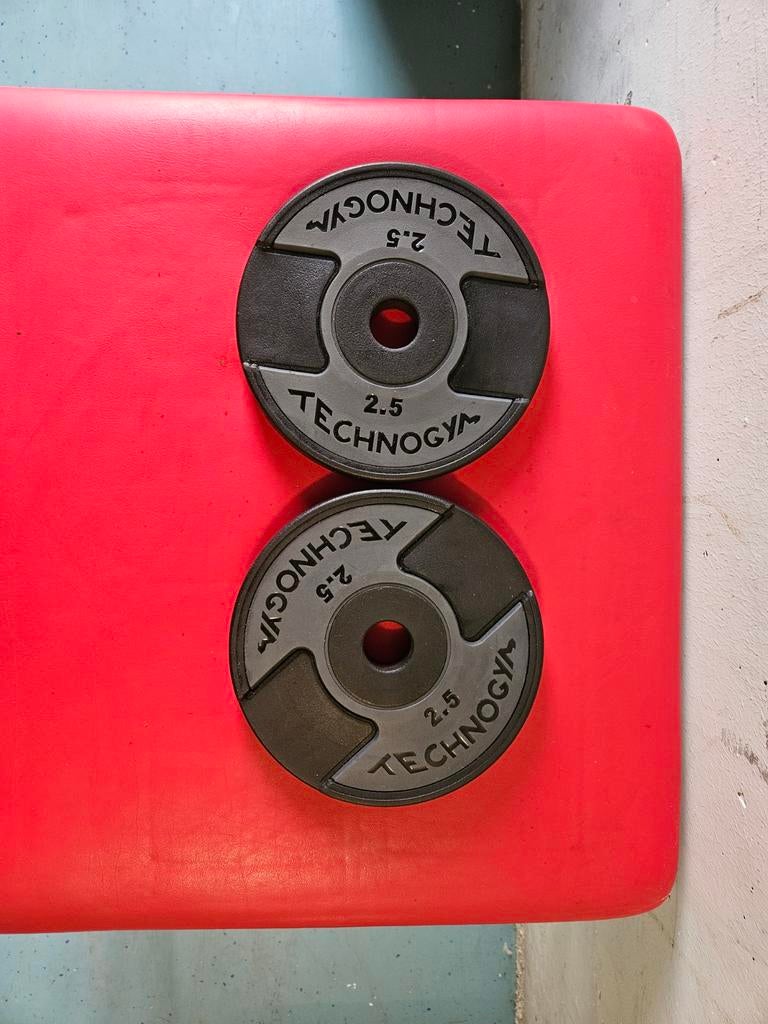 Technogym gewichten 30mm, Ophalen, Zo goed als nieuw, Overige typen
