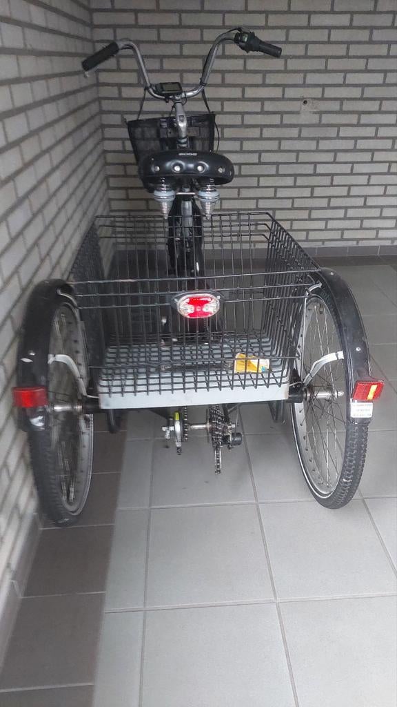 Popal driewieler elektrische fiets met manden, Fietsen en Brommers, Fietsen | Driewielfietsen, Ophalen, Gebruikt, Onbekend