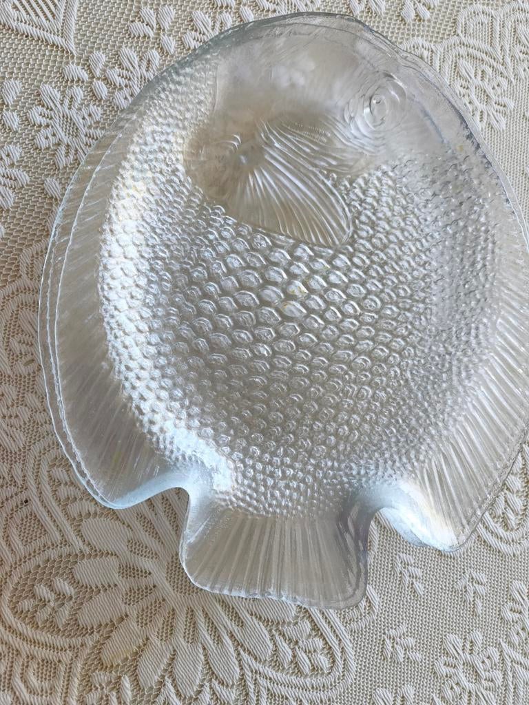 Glazen Visborden - Set van 6 (35cm), Ophalen