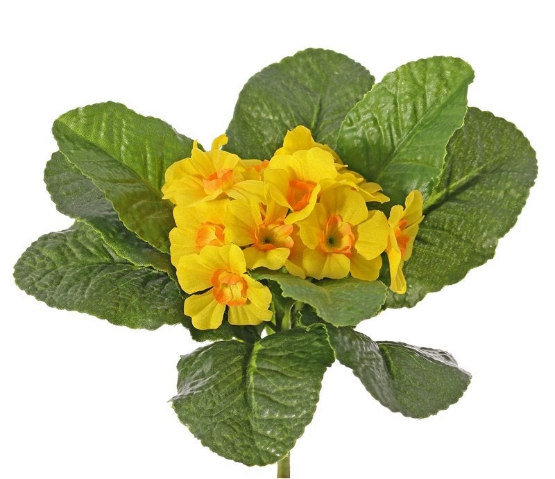 SLEUTELBLOEM KUNST (PRIMULA) 2 KLEUREN - TOP ART, Ophalen of Verzenden, Nieuw