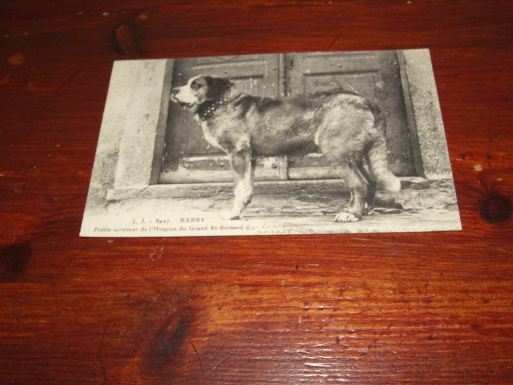 A98- Antieke Ansichtkaart: Barry de Sint-Bernard, Ophalen of Verzenden, Voor 1920, Gelopen, Hond of Kat