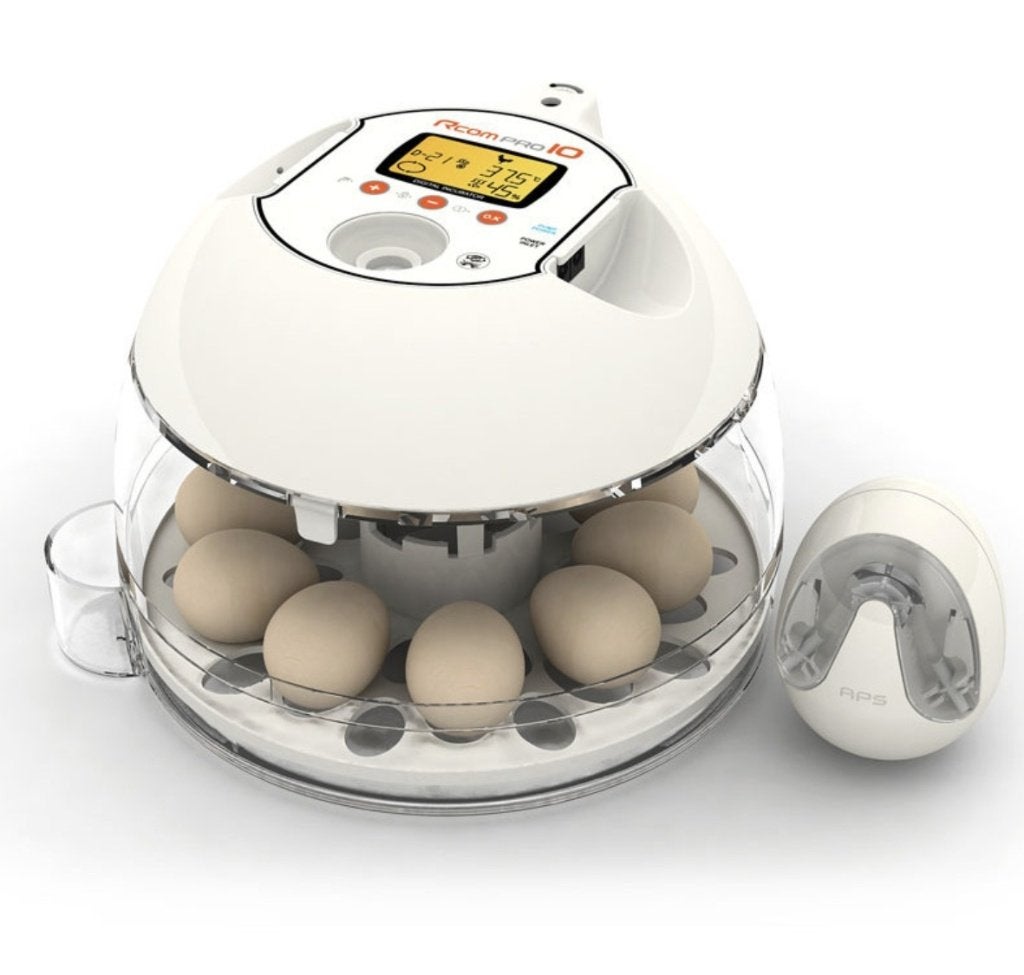 Rcom PRO 10 PLUS  Broedmachine 733.1, Ophalen of Verzenden, Nieuw, Broedmachine