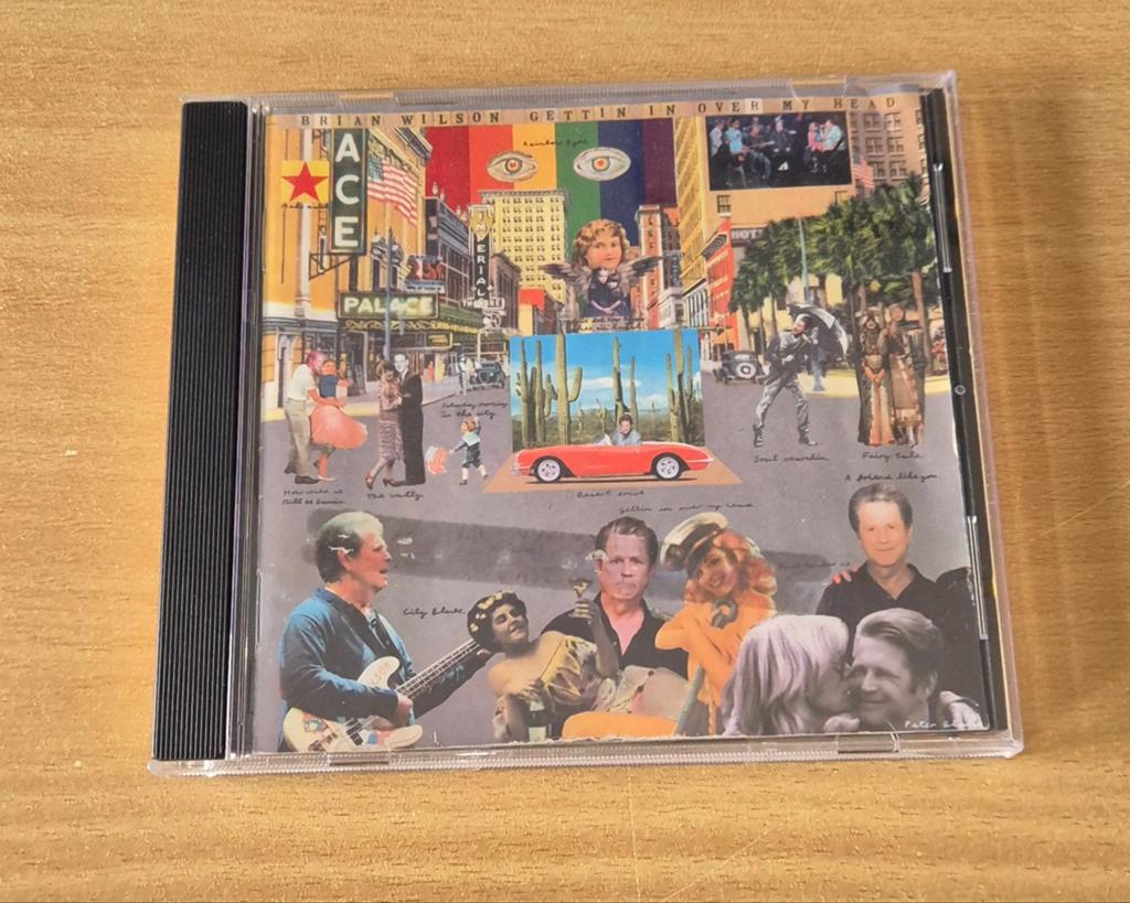Brian Wilson (Beach Boys) - Gettin' in over my head, Ophalen of Verzenden, 2000 - 2009, Gebruikt