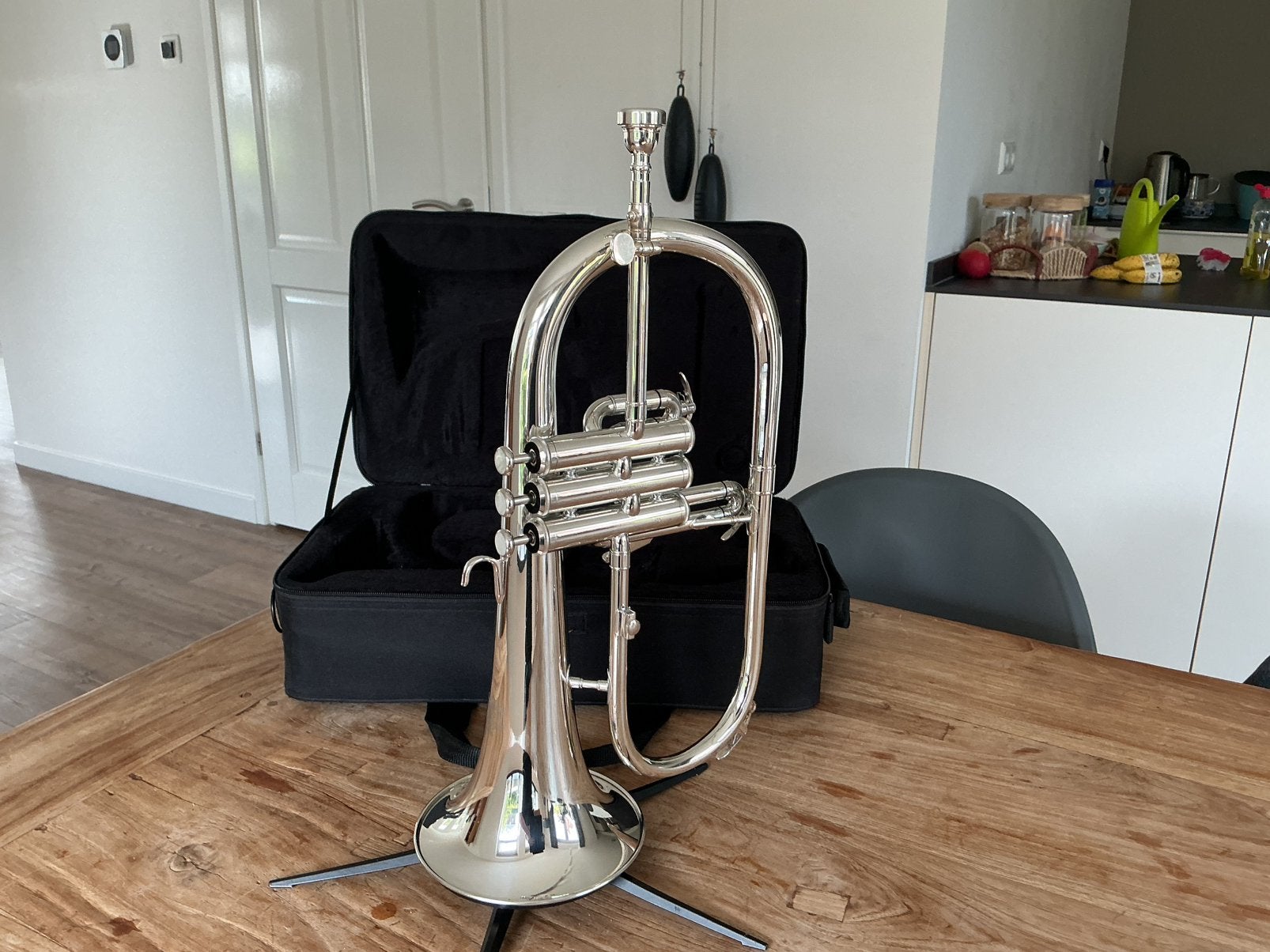 Prachtige bugel. Als nieuw., Muziek en Instrumenten, Ophalen, Nieuw, Overige typen