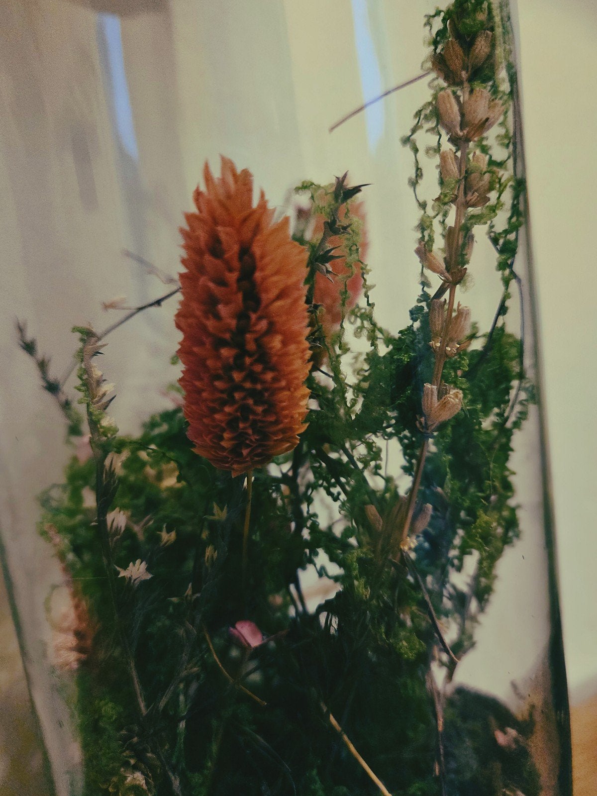 Decoratieve glazen cilinder met kurk en droogbloemen, Ophalen, Meerkleurig, Nieuw, Modern