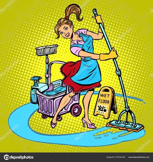 Schoonmaakhulp gezocht Epe, Schoonmaken