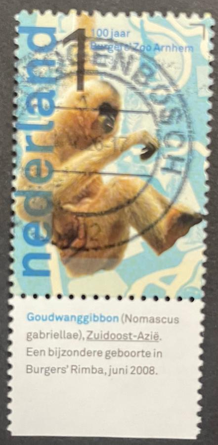 2013 Burgers Zoo 100 jr nvph 3034/tab Goudwanggibbon, Postzegels en Munten, Postzegels | Nederland, Ophalen of Verzenden, Na 1940