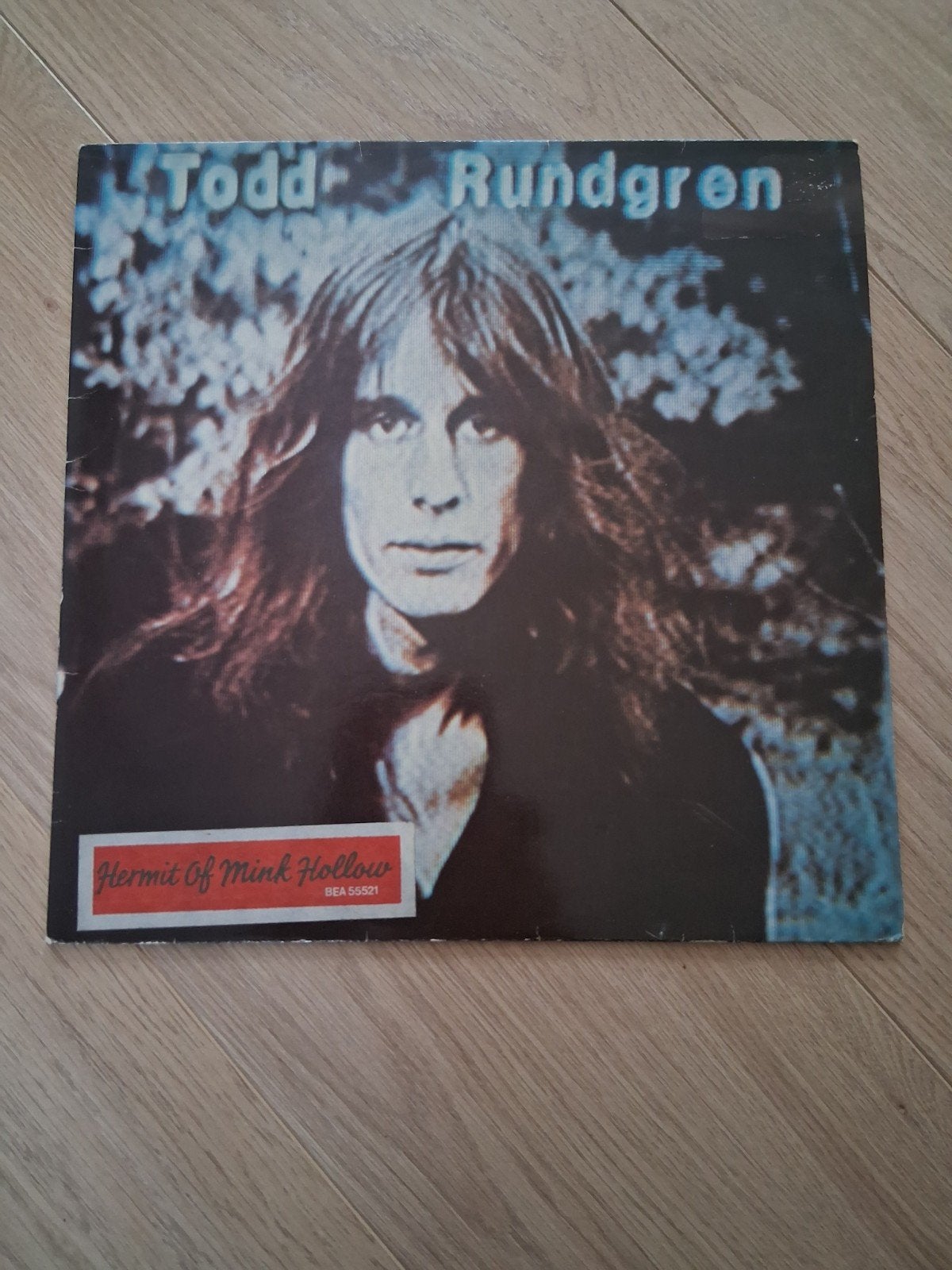Todd Rundgren - Hermit Of Mink Hollow LP, Ophalen of Verzenden, Gebruikt, 12 inch
