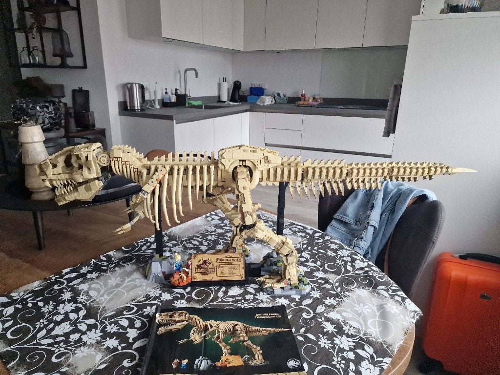 Tyrannosaurus Rex Bricks, Kinderen en Baby's, Speelgoed | Duplo en Lego, Compleet, Overige thema's, Ophalen of Verzenden, Zo goed als nieuw
