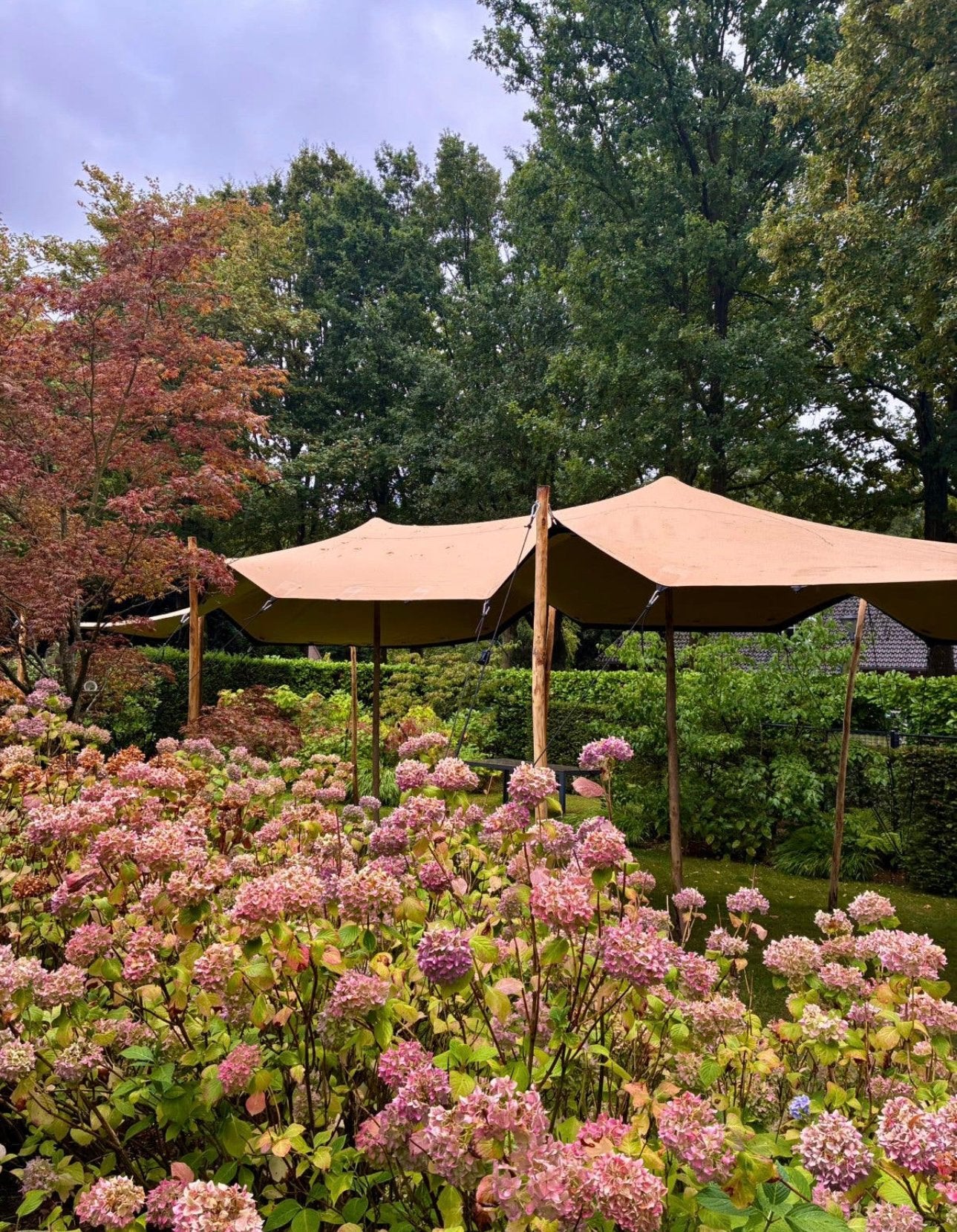 Stretchtent te huur, Ophalen of Verzenden, Zo goed als nieuw, 8 meter of meer, 6 meter of meer