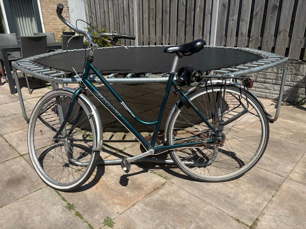 Giant Sports Custom Damesfiets - Gebruikt, Fietsen en Brommers, Fietsen | Dames | Damesfietsen, Ophalen, Terugtraprem, Versnellingen