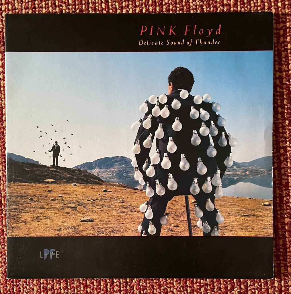 Pink Floyd – Delicate Sound Of Thunder (2 LP), Ophalen of Verzenden, 12 inch, Dubbel-LP, Progressive Rock