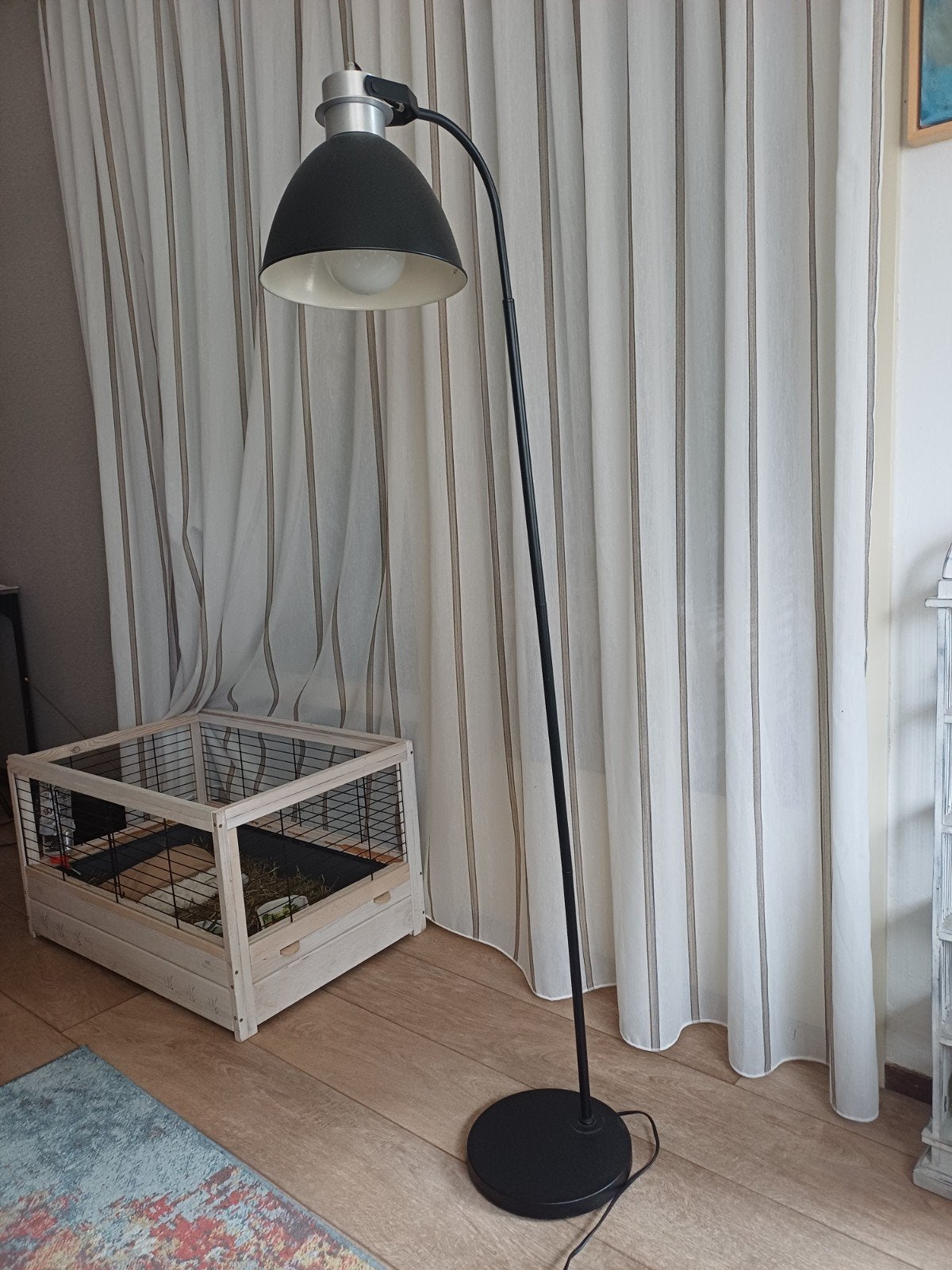 staande lamp, zwart met beweegbare kap, Ophalen, Zo goed als nieuw, 150 tot 200 cm