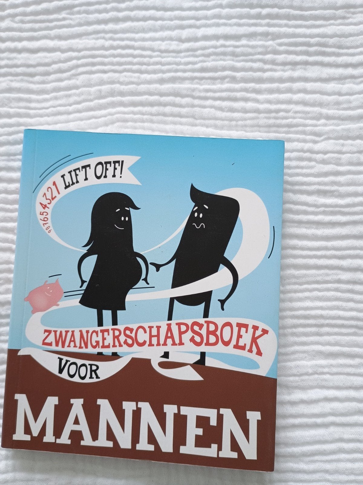 Zwangerschapsboek voor mannen, Ophalen of Verzenden, Zo goed als nieuw, Zwangerschap en Bevalling