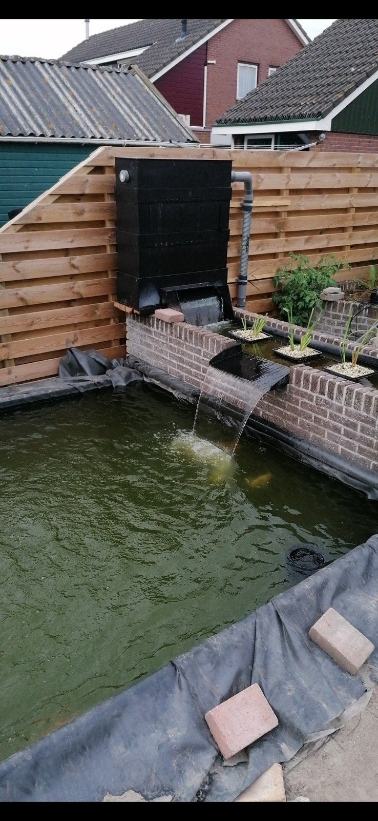complete koi vijver tekoop incl +-23 kois. alles zit erbij., Tuin en Terras, Ophalen, Gebruikt