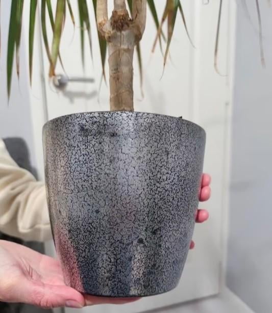 Een zilvere bloempot, Gebruikt, Verzenden, Rond, Binnen
