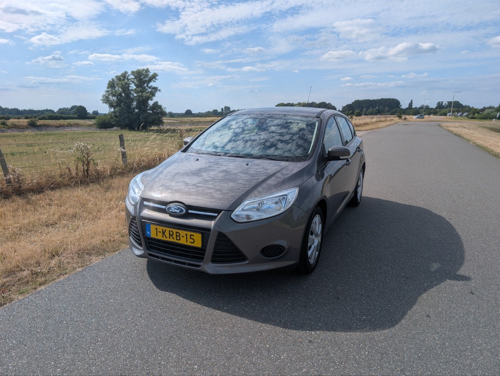 Ford Focus 1.0 Ecoboost 74KW 5-D 2013 Bruin, Bruin, 635 kg, 100 pk, Handgeschakeld