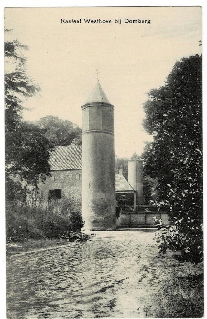 Domburg 1910. Kasteel "Westhove"., Ophalen of Verzenden, Voor 1920, Ongelopen, Zeeland