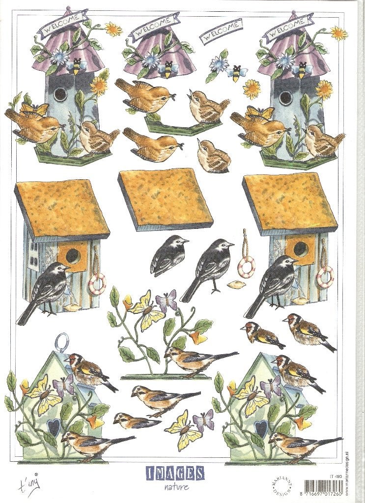 V4 knipvel images nature IT493 vogels, Hobby en Vrije tijd, Ophalen of Verzenden, Nieuw, Dieren, Knipvel