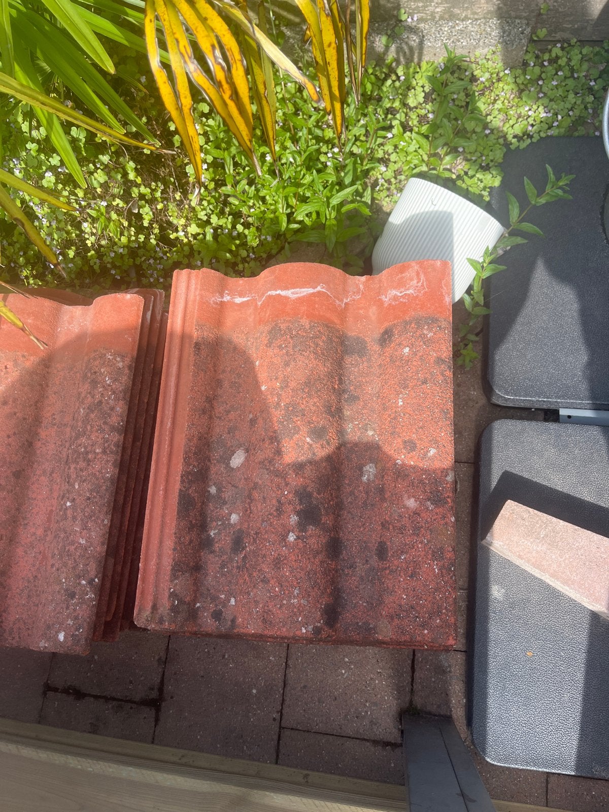 Ongeveer 45 gebruikte dakpannen, Ophalen, Gebruikt, Steen of Klei, 5 tot 10 m²