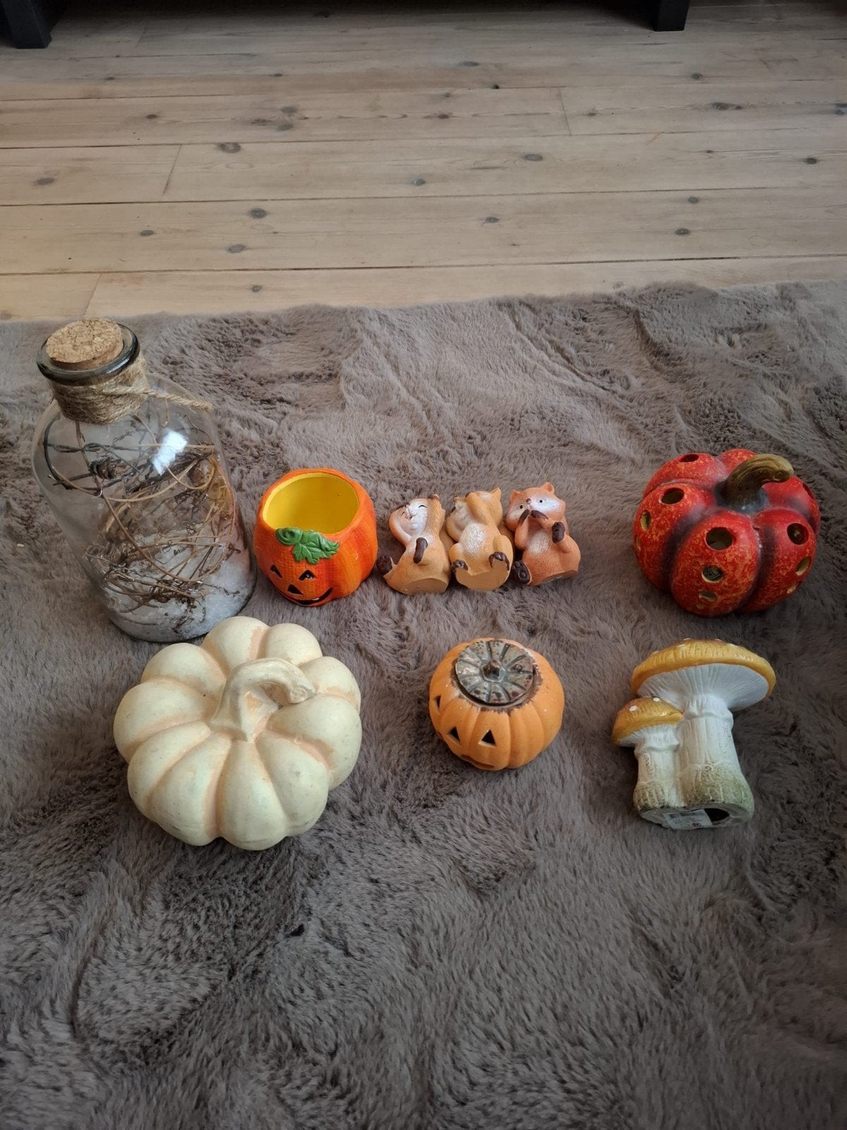 Herfst decoratie set - alles in 1 koop, Huis en Inrichting, Ophalen, Gebruikt, Landelijk, Oranje