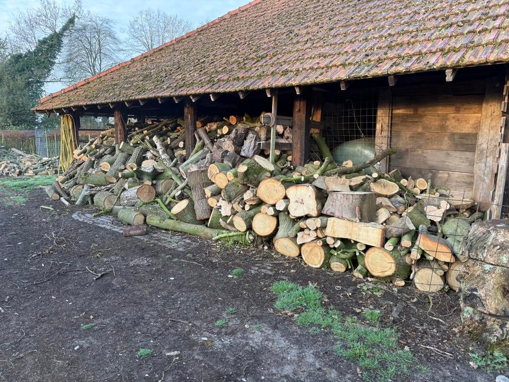 Brand hout haard hout stook hout, 6 m³ of meer, Ophalen, Overige houtsoorten, Blokken