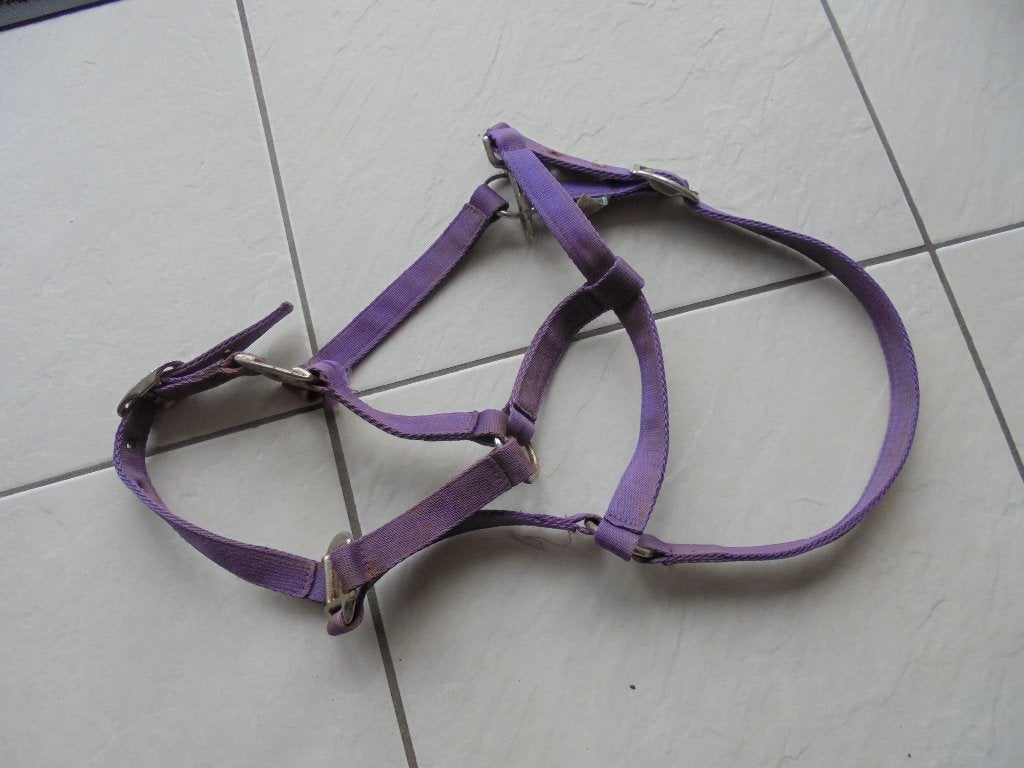 Halster, Gebruikt, Paars, Ophalen of Verzenden, Halster
