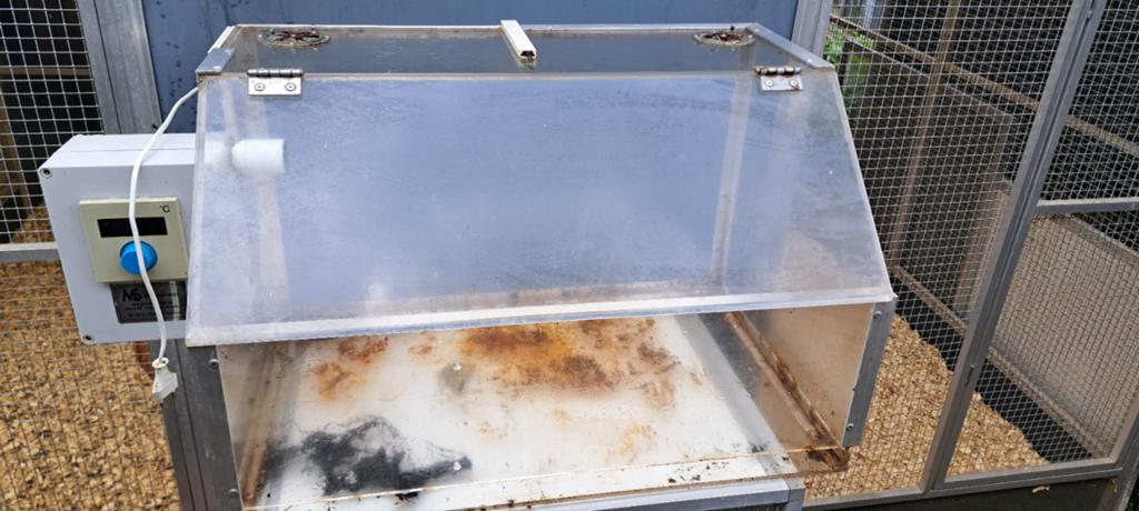 Opfokkast , MS broedmachine kuiken , kuikens ,warmtekast ., Dieren en Toebehoren, Ophalen, Gebruikt, Kunststof, Broedkooi of Kweekkooi