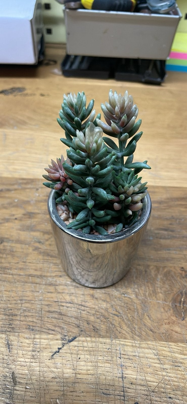 drie charmante kunstplantjes, in een zilverkleurig potje, Ophalen of Verzenden, Zo goed als nieuw
