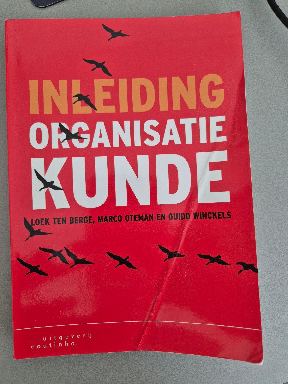 Loek ten Berge - Inleiding organisatiekunde, Sociale wetenschap, Ophalen of Verzenden, Zo goed als nieuw, Loek ten Berge; Marco Oteman