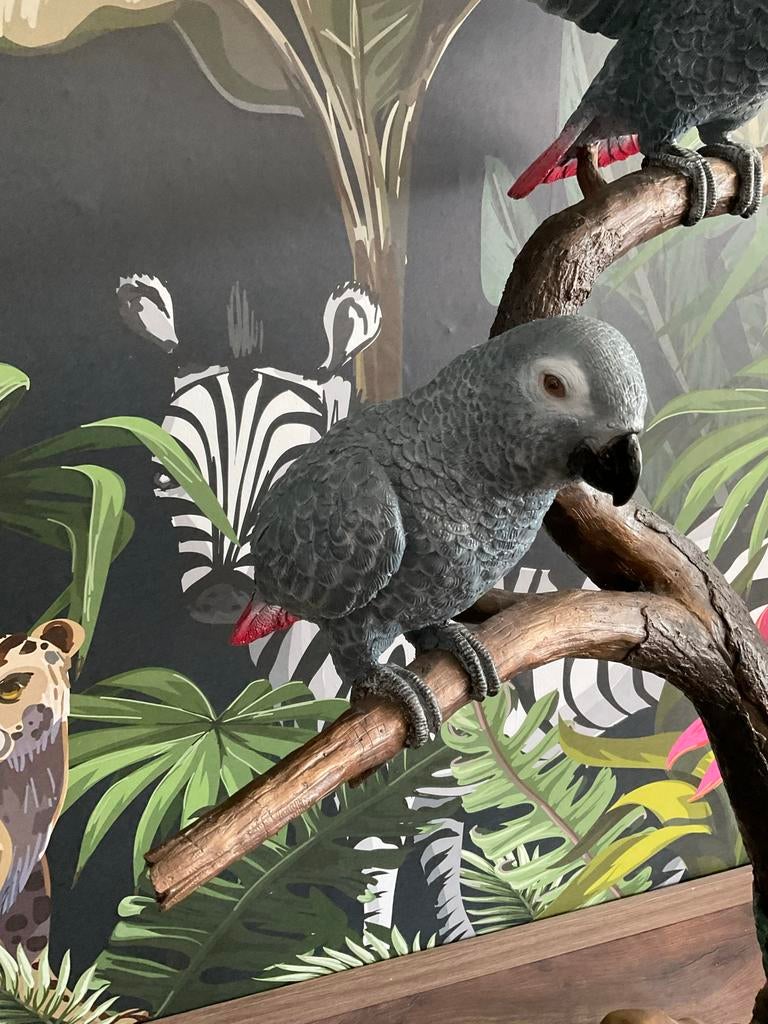 Groot bronzen beeld: Grijze roodstaart papegaaien, 150cm, Ophalen of Verzenden, 1 meter - 2 meter, Beeld, Vogel