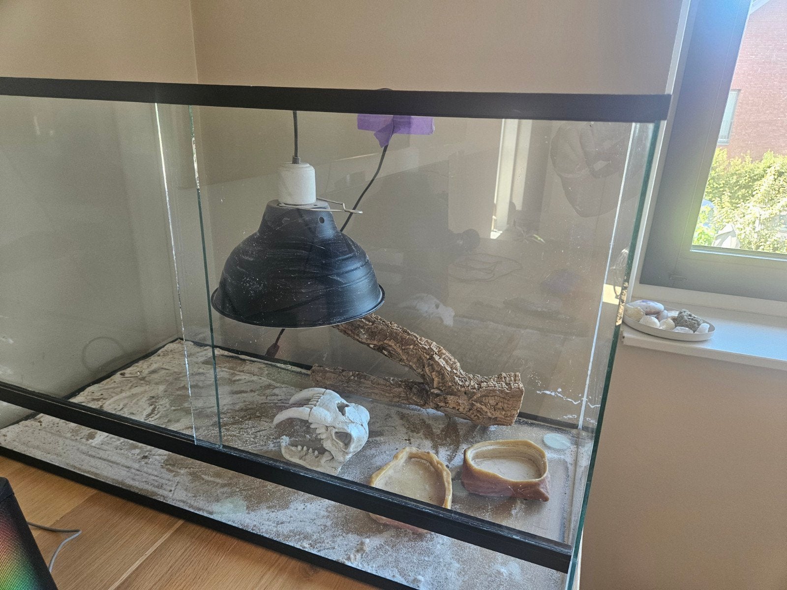 Mooi terrarium te koop met toebehoren, Ophalen