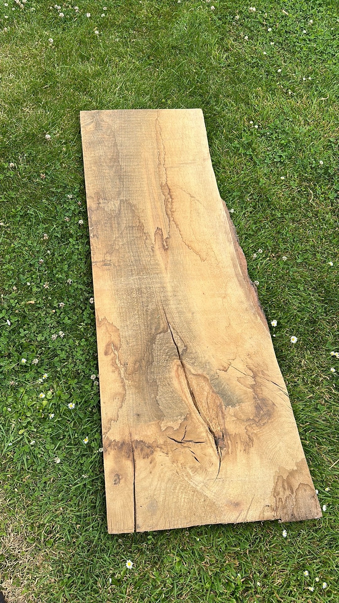 Eiken boomstam planken, Ophalen, Zo goed als nieuw, 250 cm of meer, Planken