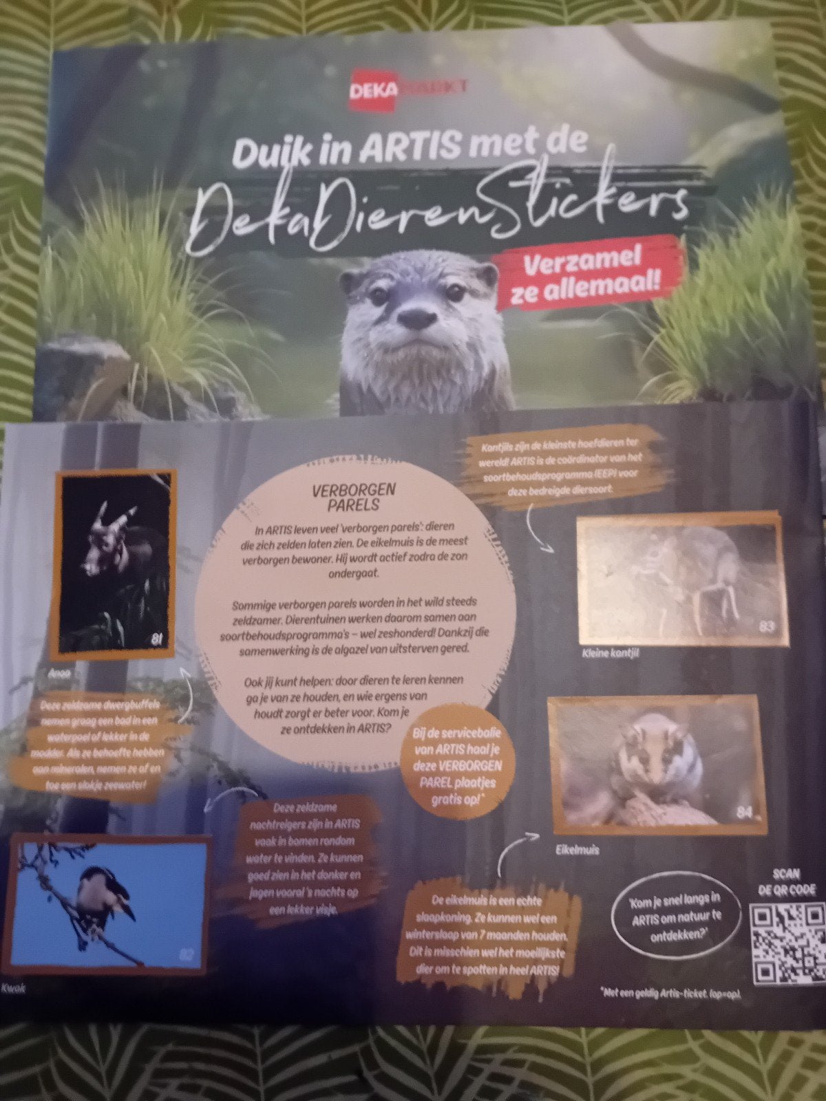 DEKAMARKT STIKERS BOEK ARTIS, Eén persoon