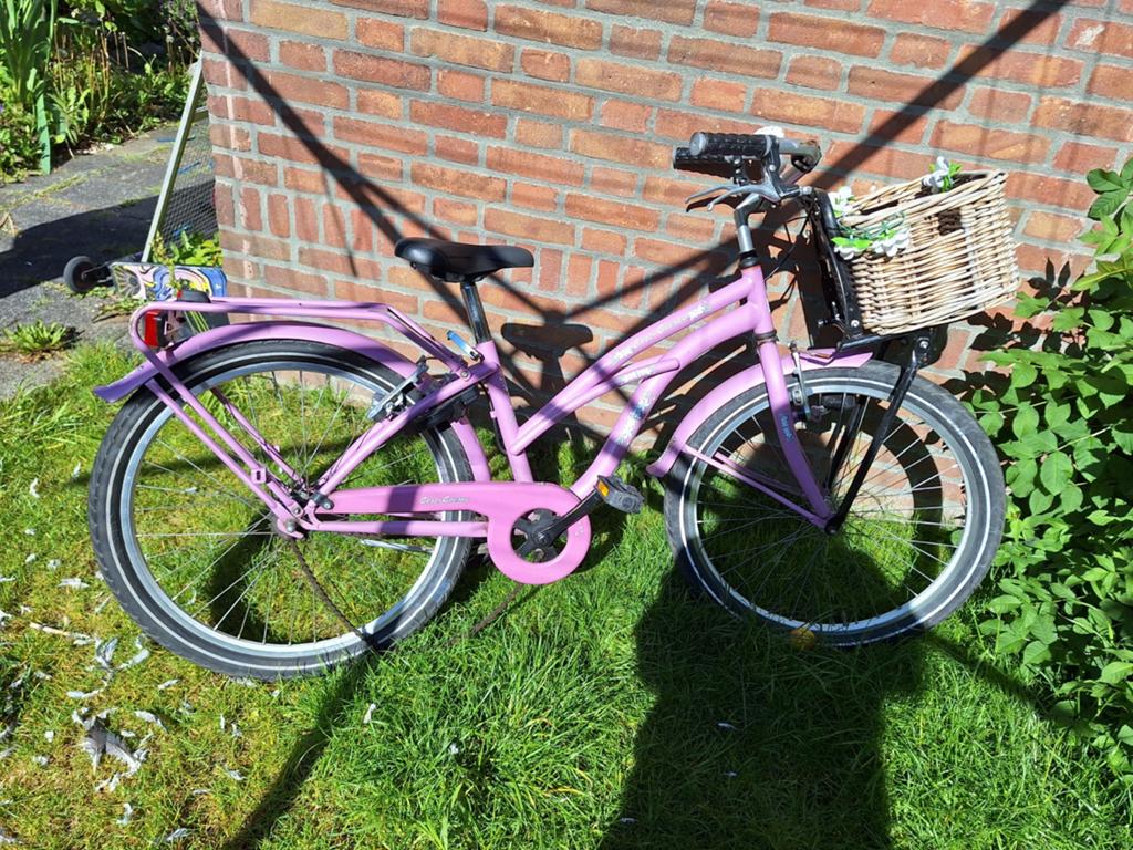 Opknappertje (gratis), Fietsen en Brommers, Fietsen | Meisjes, Gebruikt, Ophalen