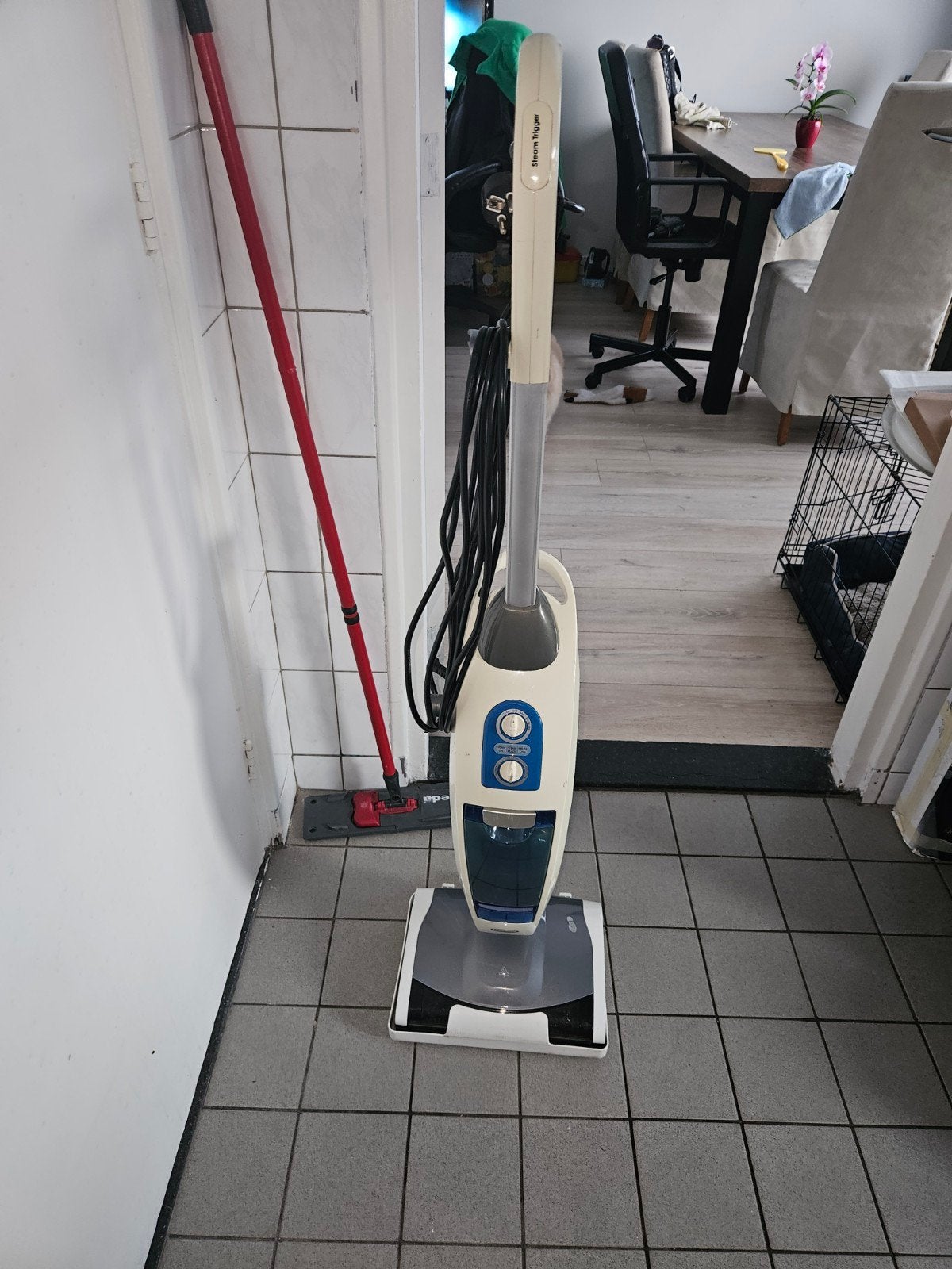 Steam Mop Vloerreiniger - Schoon en Hygiënisch, Ophalen, Overige merken, Gebruikt, Stoomreiniger
