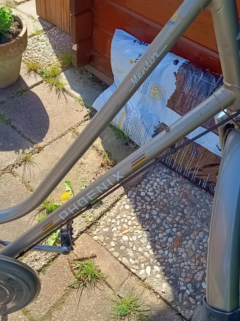 Phoenix Mentor damesfiets - Klassiek en betrouwbaar, Ophalen, Overige merken, 53 tot 56 cm, Gebruikt