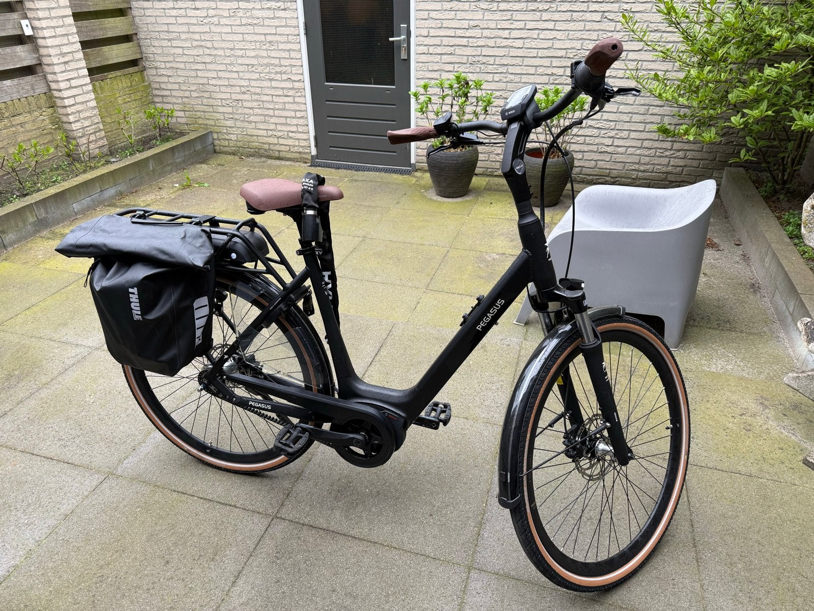 Pegasus Siena E7F elektrische fiets - 2024 - Riem aandrijvin, Zo goed als nieuw, 50 km per accu of meer, 55 tot 59 cm, Ophalen