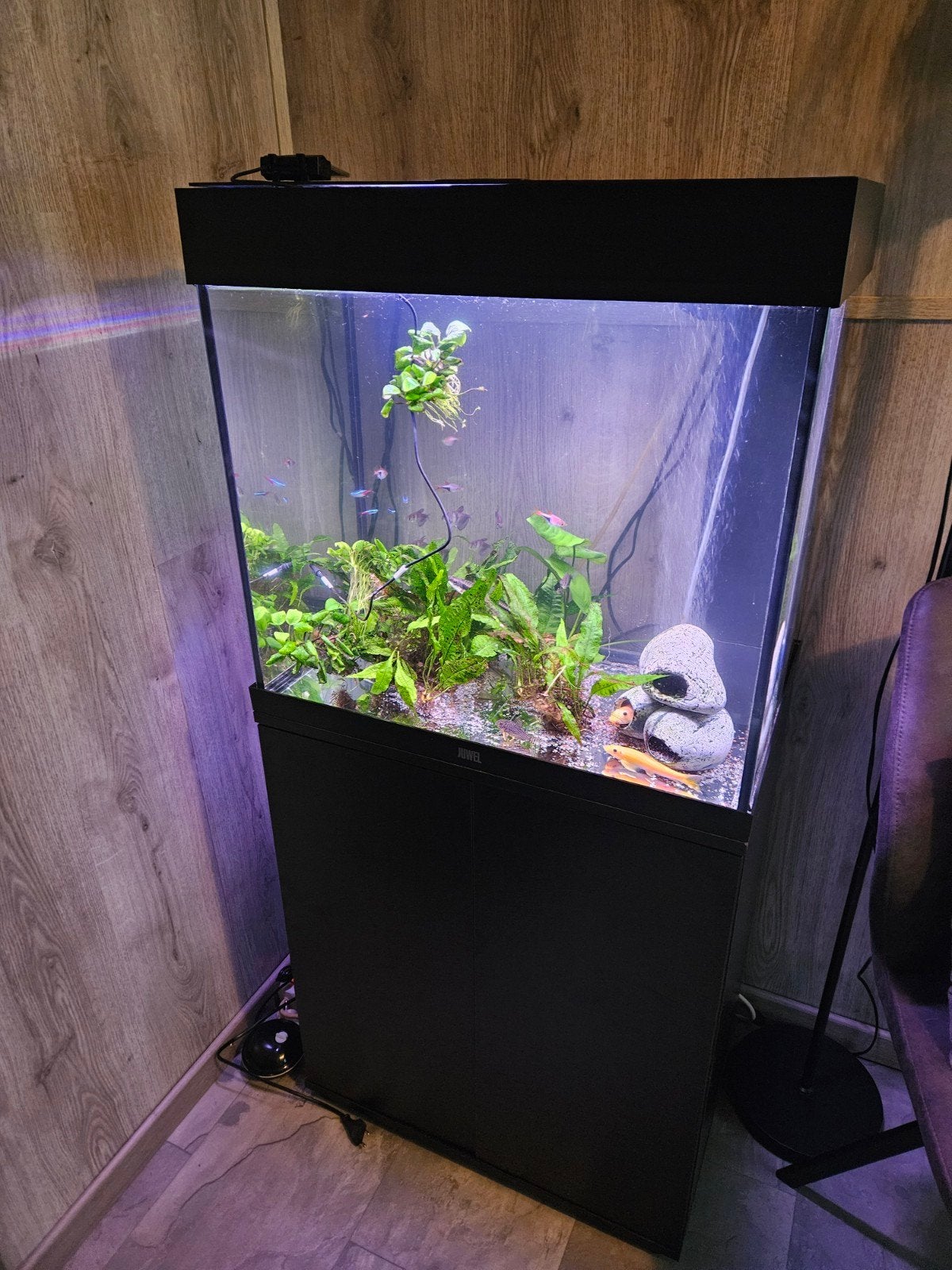 juwel lido 120, Dieren en Toebehoren, Ophalen, Zo goed als nieuw, Leeg aquarium, Juwel