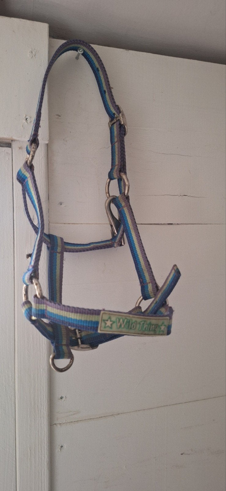 Halsters, halstertouwen en vliegenmasker, Dieren en Toebehoren, Paarden en Pony's | Overige Paardenspullen, Ophalen of Verzenden
