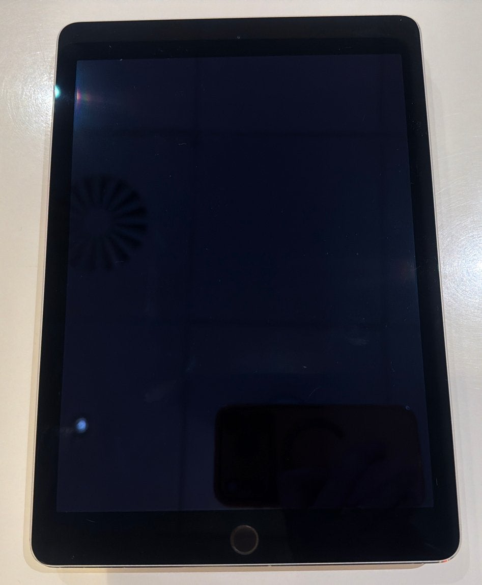 Apple iPad Air Zilver