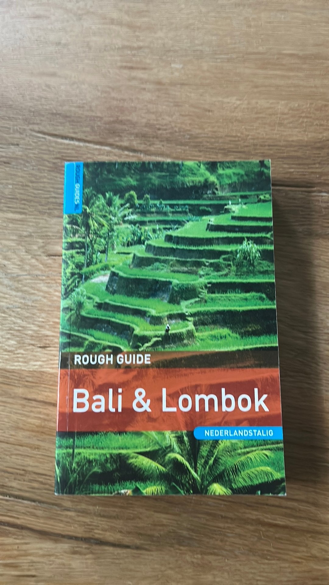 Lucy Ridour - Rough Guide Bali & Lombok, Fiets- of Wandelgids, Europa, Ophalen of Verzenden, Zo goed als nieuw