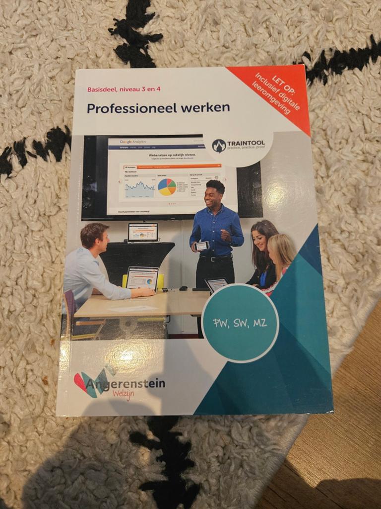 Professioneel werken, Angerenstein. Boom beroepsonderwijs, Ophalen of Verzenden, Zo goed als nieuw, Overige niveaus, Nederlands