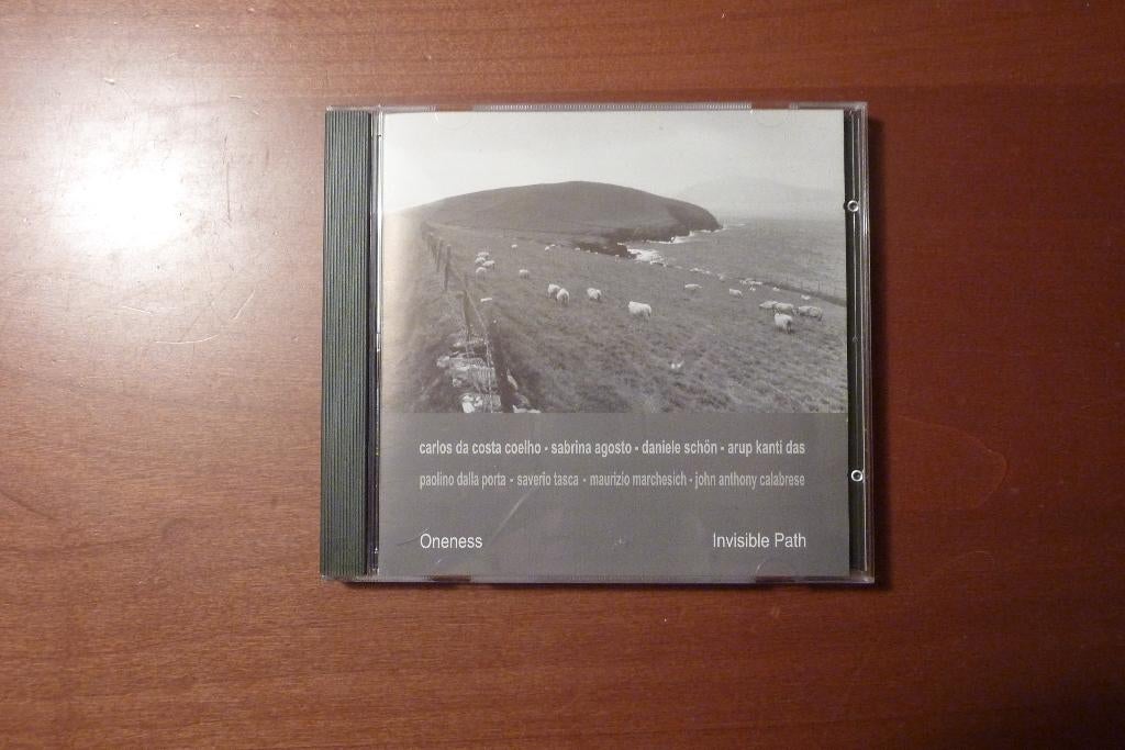 Oneness - Invisible Path, Ophalen of Verzenden, Zo goed als nieuw, Overige typen